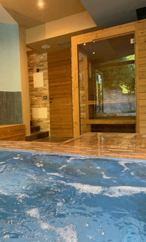 sauna saune idus produttore artigianale termotrattato piscina personal spa comprare